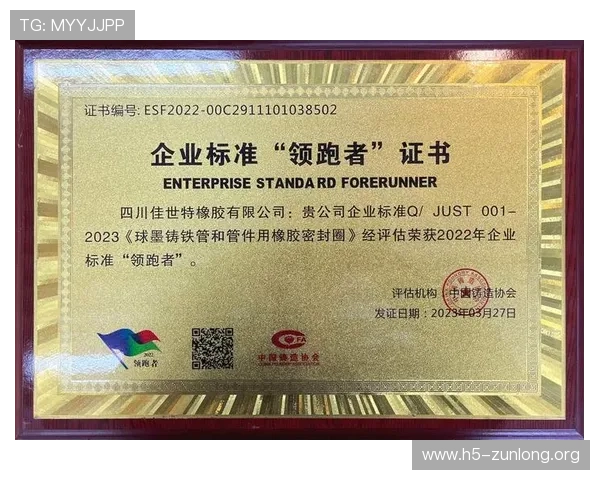 尊龙集团中国官方网站展示企业荣誉资质与行业领先地位的全面介绍