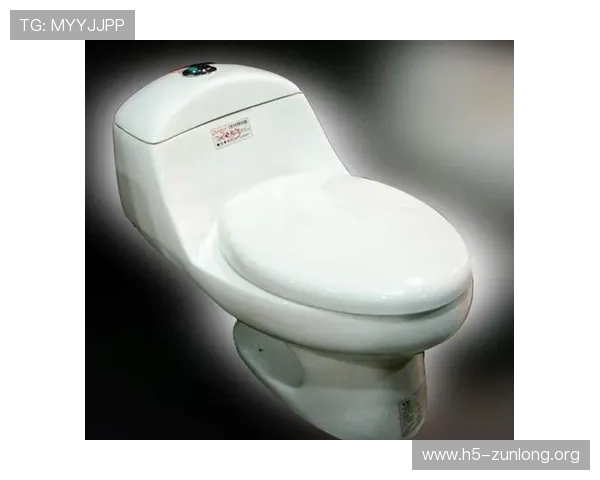 访问尊龙卫浴官网，获取专业人士的卫浴产品推荐与购置指南。