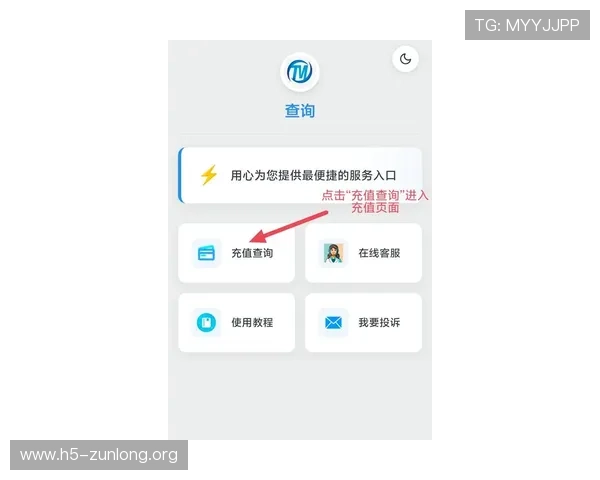 尊龙体育app官网下载后如何进行账户充值与资金安全保障